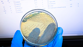 hy_xxxiii_5_de-champs