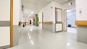 hy_xxxiii_6_carenco1