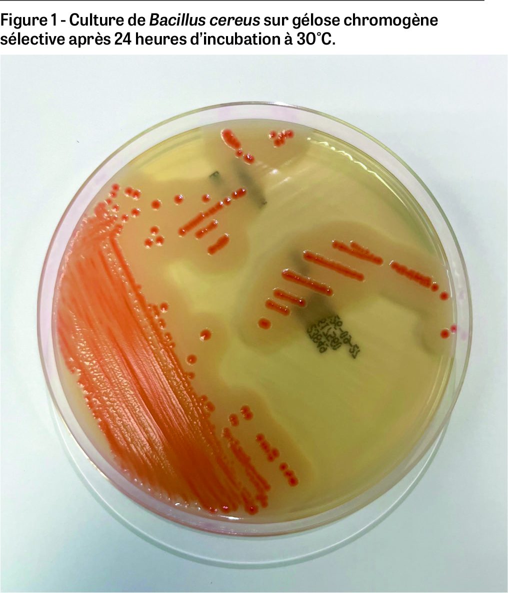 HYG-4-2026-bacillus-F1
