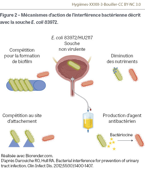 HY_XXXIII_3_Bouiller_fig2