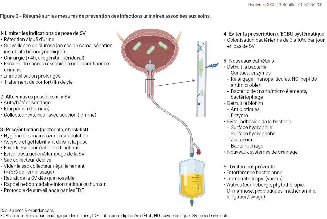 HY_XXXIII_3_Bouiller_fig3