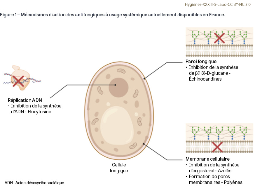 HY_XXXIII_5_Labo_fig1