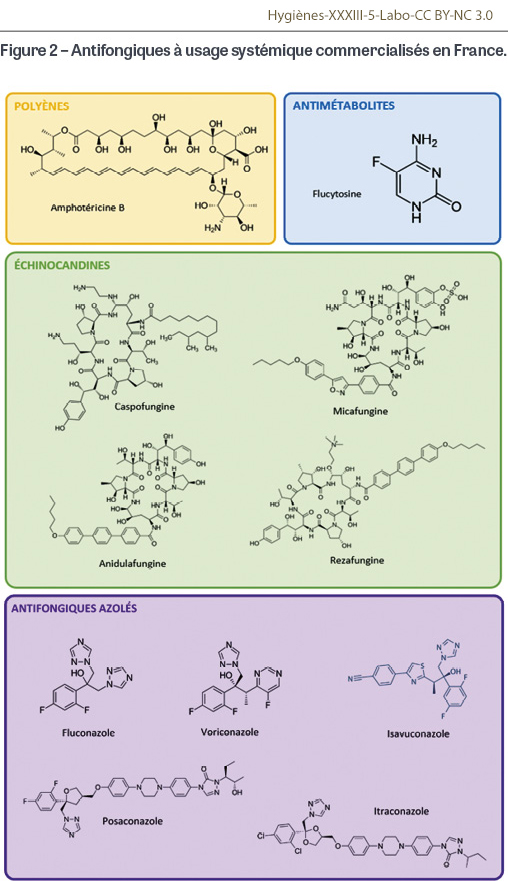 HY_XXXIII_5_Labo_fig2