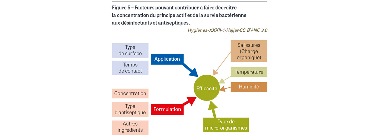 HY_XXXII_1_Hajjar_fig5