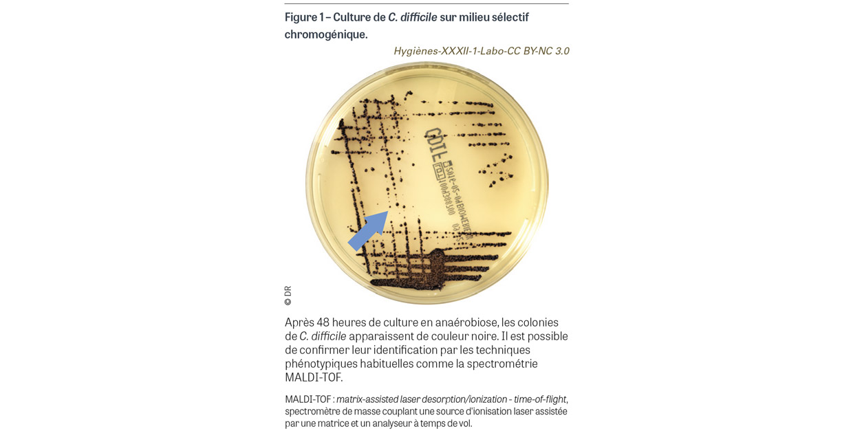 HY_XXXII_1_Labo_fig1