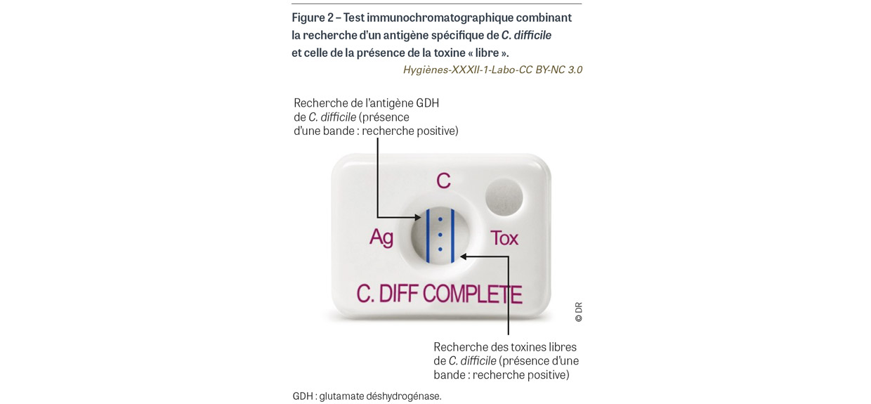 HY_XXXII_1_Labo_fig2