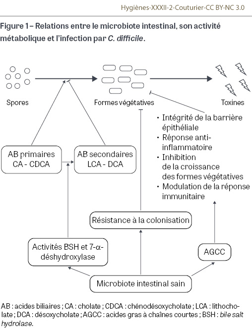 HY_XXXII_2_Couturier_fig1