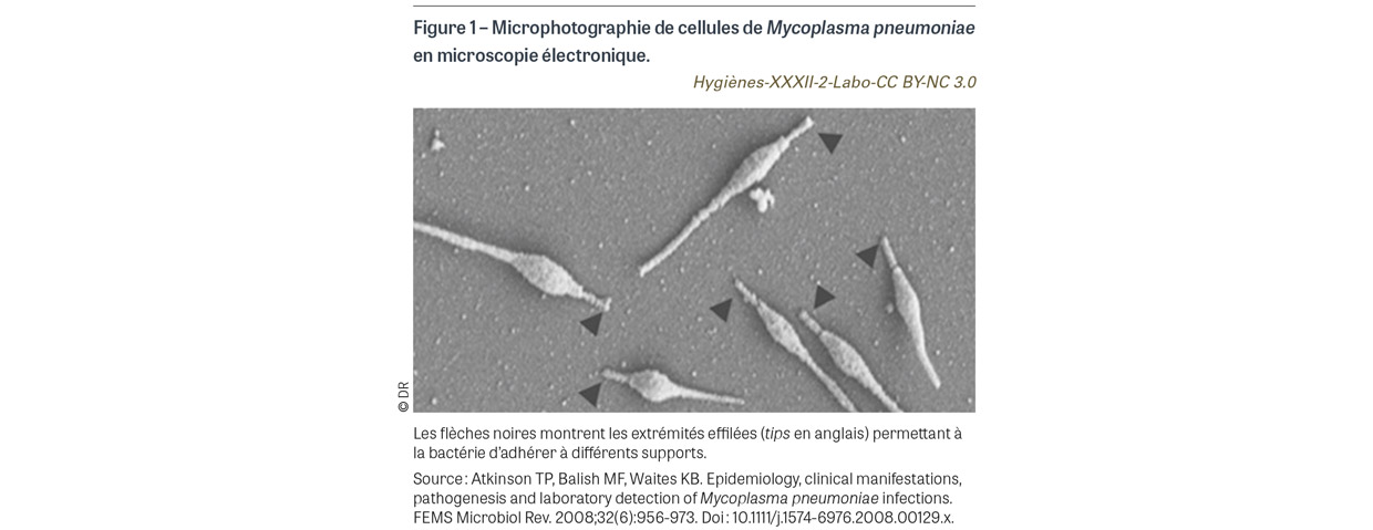 HY_XXXII_2_Labo_fig1