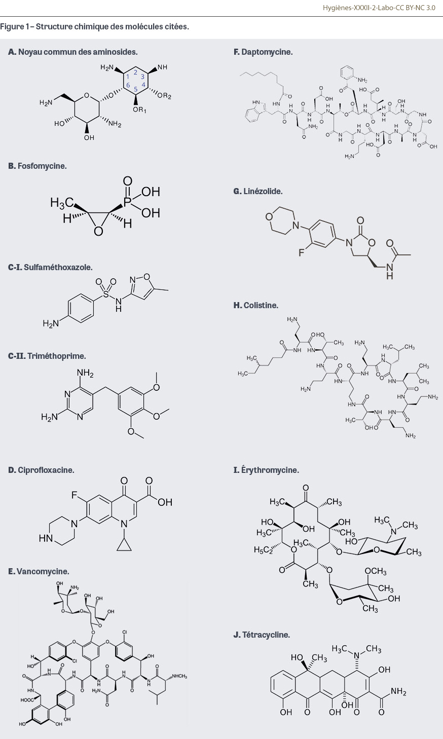 HY_XXXII_2_Labo_fig1