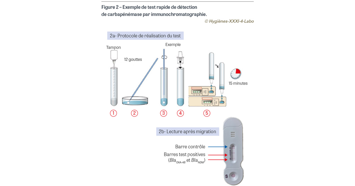 HY_XXXI_4_Labo_fig2