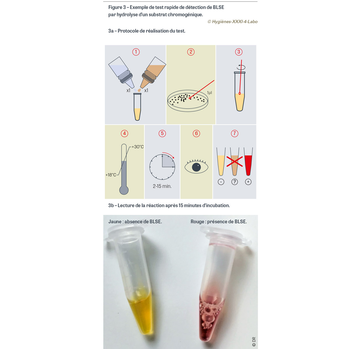 HY_XXXI_4_Labo_fig3