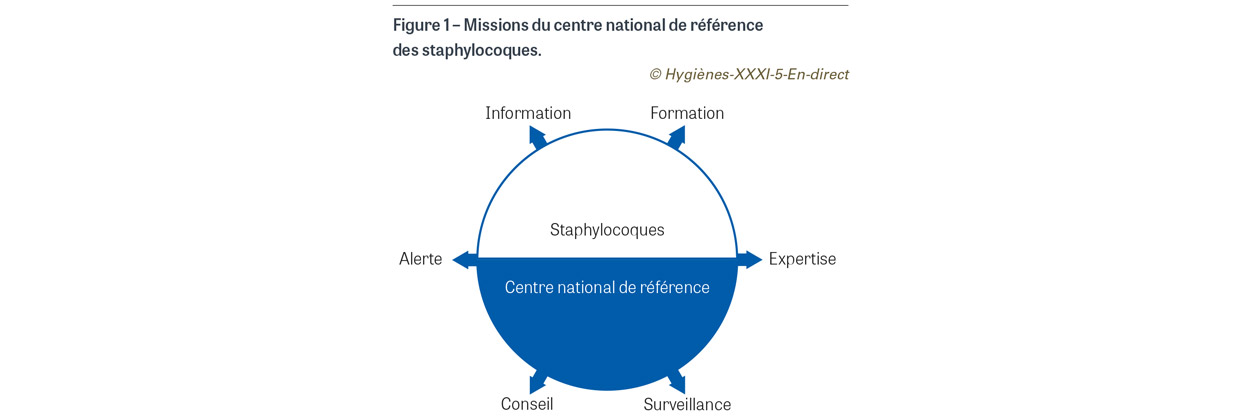 HY_XXXI_5_En-direct_fig1