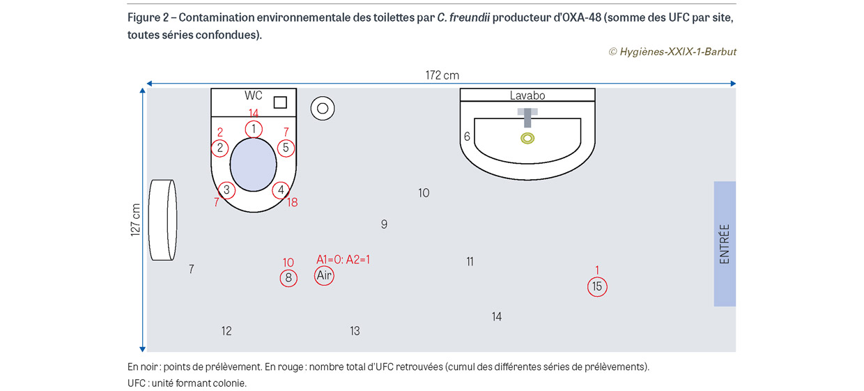 Bactéries : quelles maladies est-on susceptible de contracter aux toilettes  ? : Femme Actuelle Le MAG