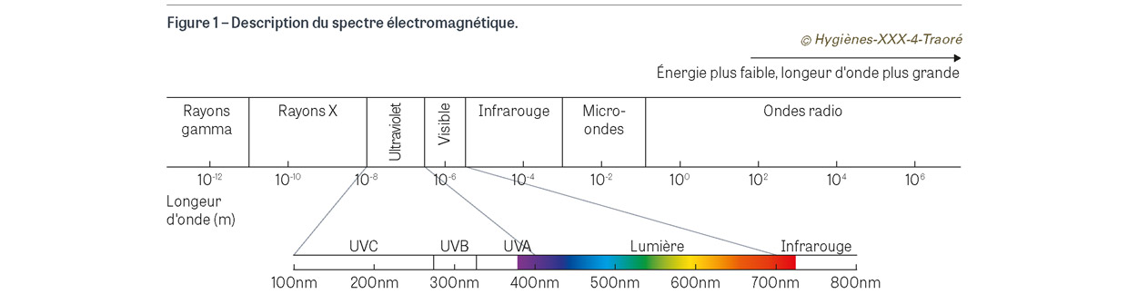 HY_XXX_4_Traore_fig1